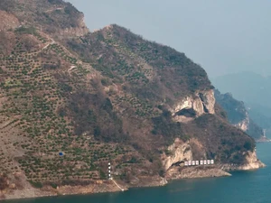 Viral Gunung Menyerupai Anak Anjing di China