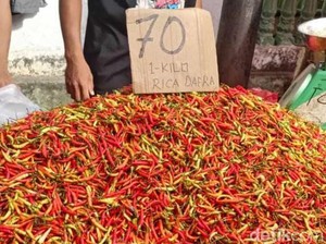 Harga Cabai Rawit di Gorontalo Kian Pedas Jelang Ramadan, Tembus Rp 70.000/Kg
