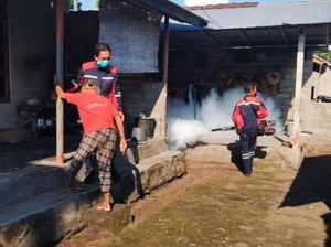 DBD di Karangasem Melonjak Jadi 258 Kasus, 25 Pasien Masih Dirawat