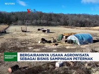 Video: Bergairahnya Usaha Agrowisata Jadi Bisnis Sampingan Peternak AS