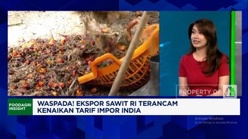 Video: Tarif Impor CPO India Naik, Gimana Nasib 40% Ekspor Sawit RI?
