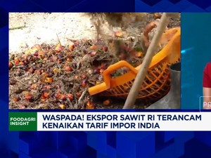 Video: Tarif Impor CPO India Naik, Gimana Nasib 40% Ekspor Sawit RI?