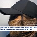 Video:Pekerja Pertanian Tak Berdokumen di California Takut Dideportasi