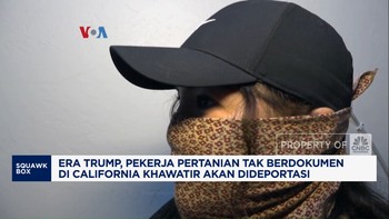 Video:Pekerja Pertanian Tak Berdokumen di California Takut Dideportasi