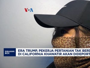 Video:Pekerja Pertanian Tak Berdokumen di California Takut Dideportasi
