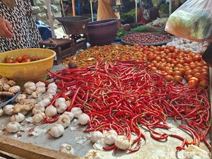 Harga Daging Ayam di Mataram Tembus Rp 42 Ribu per Kg Jelang Ramadan