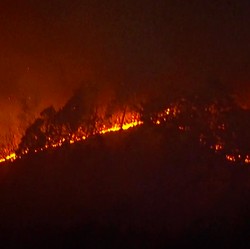 Jepang Dilanda Kebakaran Hutan Terbesar, Telan Korban Jiwa