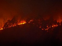 Jepang Dilanda Kebakaran Hutan Terbesar, Telan Korban Jiwa