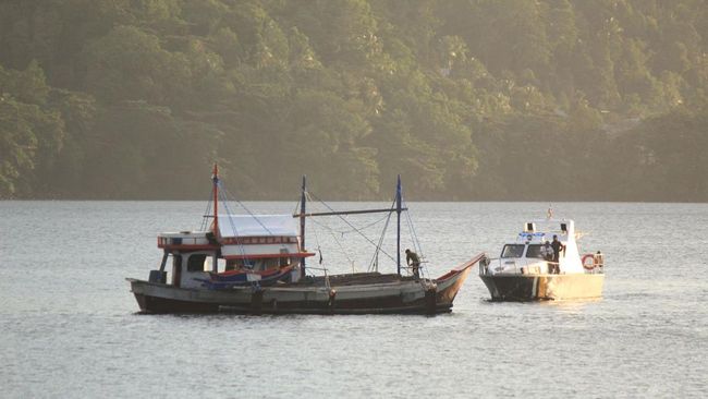 RI Cek Bawah Laut Sulawesi Utara, Muncul Hewan Raksasa Langka Ini
