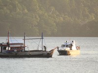 RI Cek Bawah Laut Sulawesi Utara, Muncul Hewan Raksasa Langka Ini