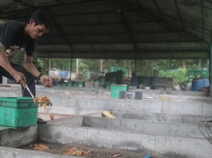 Merdeka Copper Gold Gandeng Warga Lokal Kelola Sampah Domestik
