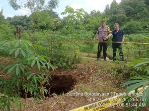 Geger Sinkhole Sedalam 10 Meter Muncul di Lahan Pertanian Gunungkidul