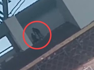 Sejoli Diduga Mesum di Stadion La Patau Matanna Tikka Bone, Polisi Selidiki