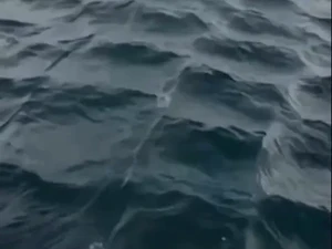 Gelombang Laut Kotak-Kotak: Misteri Alam atau Fenomena Fisika?