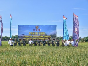 Panen Padi di Halim Farm, Wakasau: Kontribusi TNI AU Dukung Ketahanan Pangan