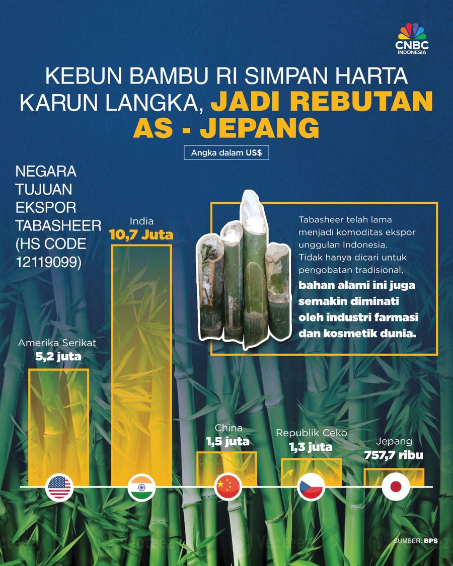 Bamboo