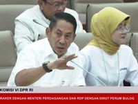 Bos Bulog Beri Kabar Gudang Nyaris Penuh Terisi 1,7 Juta Ton Beras