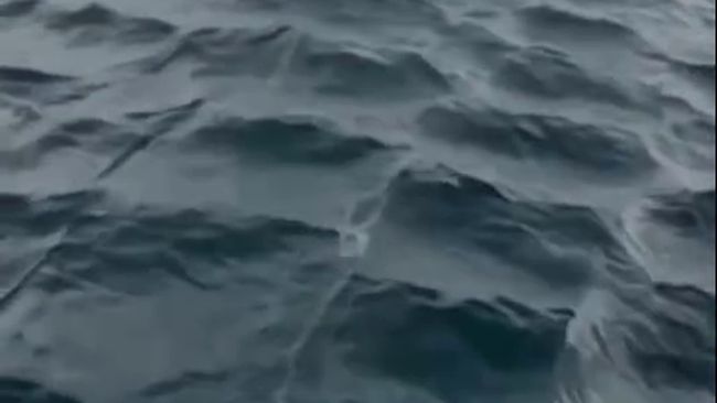 Fakta Gelombang Laut Kotak-kotak Bawa Petaka Besar, Ada Apa?