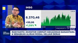 Video: Investor 
