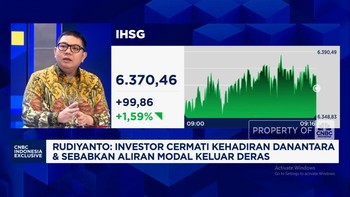 Video: Investor 