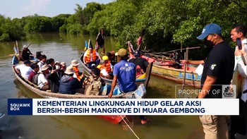 Video: KLH Bersih-Bersih Mangrove di Muara Gembong
