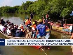 Video: KLH Bersih-Bersih Mangrove di Muara Gembong
