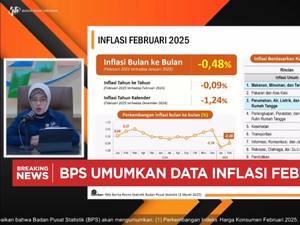 Video: Lagi! BPS Catat Deflasi 0,48% (mtm) di Februari 2025