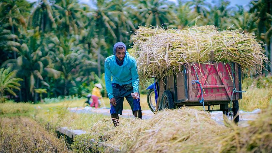 Petani panen padi. Dok Kementan