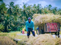 Optimalisasi Dana Desa untuk Mendukung Pengelolaan Ketahanan Pangan