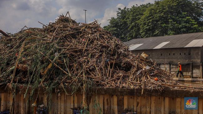 Menteri LH Keluarkan Keputusan Baru, Daerah Ini Resmi Darurat Sampah