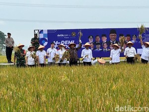 Zulhas Beberkan Manifesto Swasembada Pangan, Pastikan Tak Impor Beras