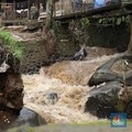 Waspada! Banjir Besar Intai Bogor, Ini Datanya