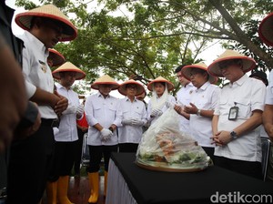 Mendes PDT: Ada Dana Desa Sebesar Rp 16 T untuk Ketahanan Pangan