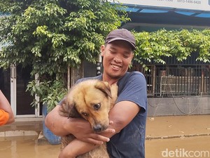 Cerita Warga Vila Nusa Indah 2 Bogor Selamatkan Anjingnya Terjebak Banjir