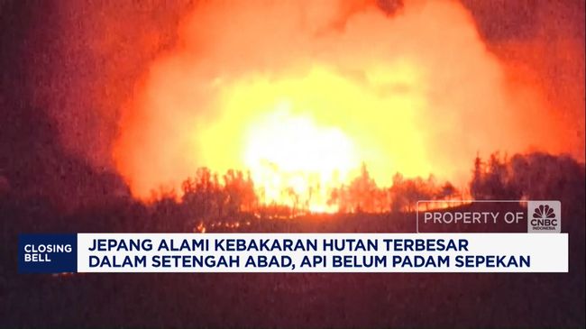 Jepang Alami Kebakaran Hutan Terbesar Dalam Setengah Abad