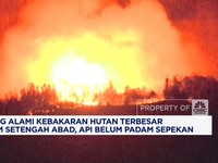 Video: Jepang Alami Kebakaran Hutan Terbesar Dalam Setengah Abad