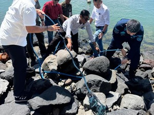 Penjelasan BTID soal Pembongkaran Pagar Laut di Pulau Serangan