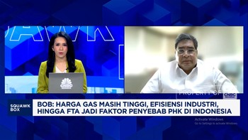 Video: Aturan Pemerintah Mudah Berubah, Investor Ogah Masuk Manufaktur