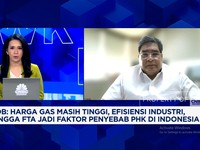 Video: Aturan Pemerintah Mudah Berubah, Investor Ogah Masuk Manufaktur