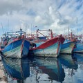 KKP Bekukan Izin 11 Kapal, Tertangkap Basah Lakukan Ini di Arafura