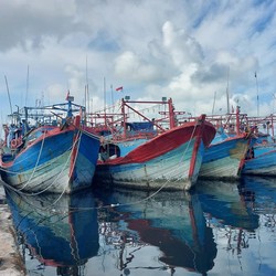 KKP Bekukan Izin 11 Kapal, Tertangkap Basah Lakukan Ini di Arafura