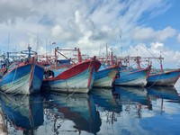 KKP Bekukan Izin 11 Kapal, Tertangkap Basah Lakukan Ini di Arafura