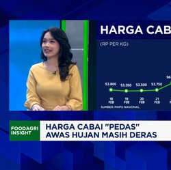 Video: Harga Cabai Mahal di Ramadan Jadi Masalah 