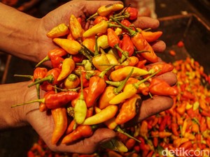 Harga Cabai Rawit Makin Pedas, Tembus Rp 75 Ribu/Kg