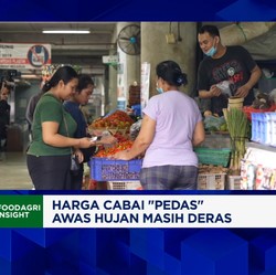 Video: Harga Cabai Tembus Rp120 Ribu Per Kg saat Ramadan, Kenapa?