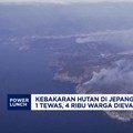 Video: Kebakaran Hutan Jepang Meluas: 1 Tewas, 4 Ribu Warga Dievakuasi