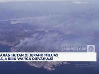 Video: Kebakaran Hutan Jepang Meluas: 1 Tewas, 4 Ribu Warga Dievakuasi
