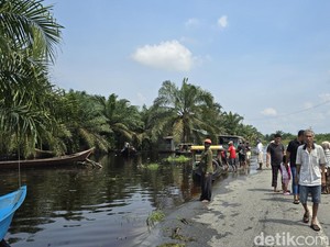 Jalan-Pemukiman di Pelalawan Terendam Banjir, Aktivitas Warga Terganggu