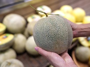 Tak Sengaja Bagi-Bagi 400 Kg Melon, Penjual Buah Ini Rugi Rp 11 Juta!