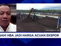 Video:Pemerintah Minta Pengusaha Segera Lakukan Penyesuaian HBA Ekspor